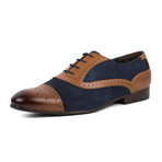 Leather Navy Suede Oxford Brogue // Tan (UK: 7)