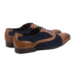 Leather Navy Suede Oxford Brogue // Tan (UK: 10)