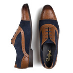 Leather Navy Suede Oxford Brogue // Tan (UK: 9)