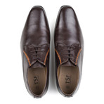 Derby Shoe W/ Contrast Facing Detail // Brown (UK: 10)