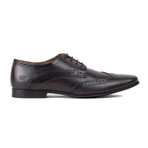 Derby Brogue // Brogue (UK: 10)