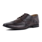 Derby Brogue // Brogue (UK: 8)