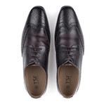 Derby Brogue // Brogue (UK: 7)