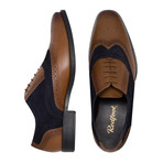 Oxford Brogue Shoe // Navy + Tan (UK 13)
