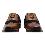 Oxford Brogue Shoe // Navy + Tan (UK: 8)
