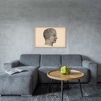 Phrenology Human Head // Unknown Artist (26"W x 18"H x 0.75"D)