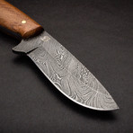 Sentinel Damascus Steel Knife