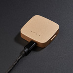 Portable Headphone Amplifier // Gold