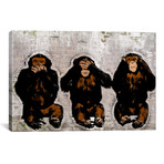 Monkey See, Monkey Do // 5by5collective (18"W x 26"H x 0.75"D)