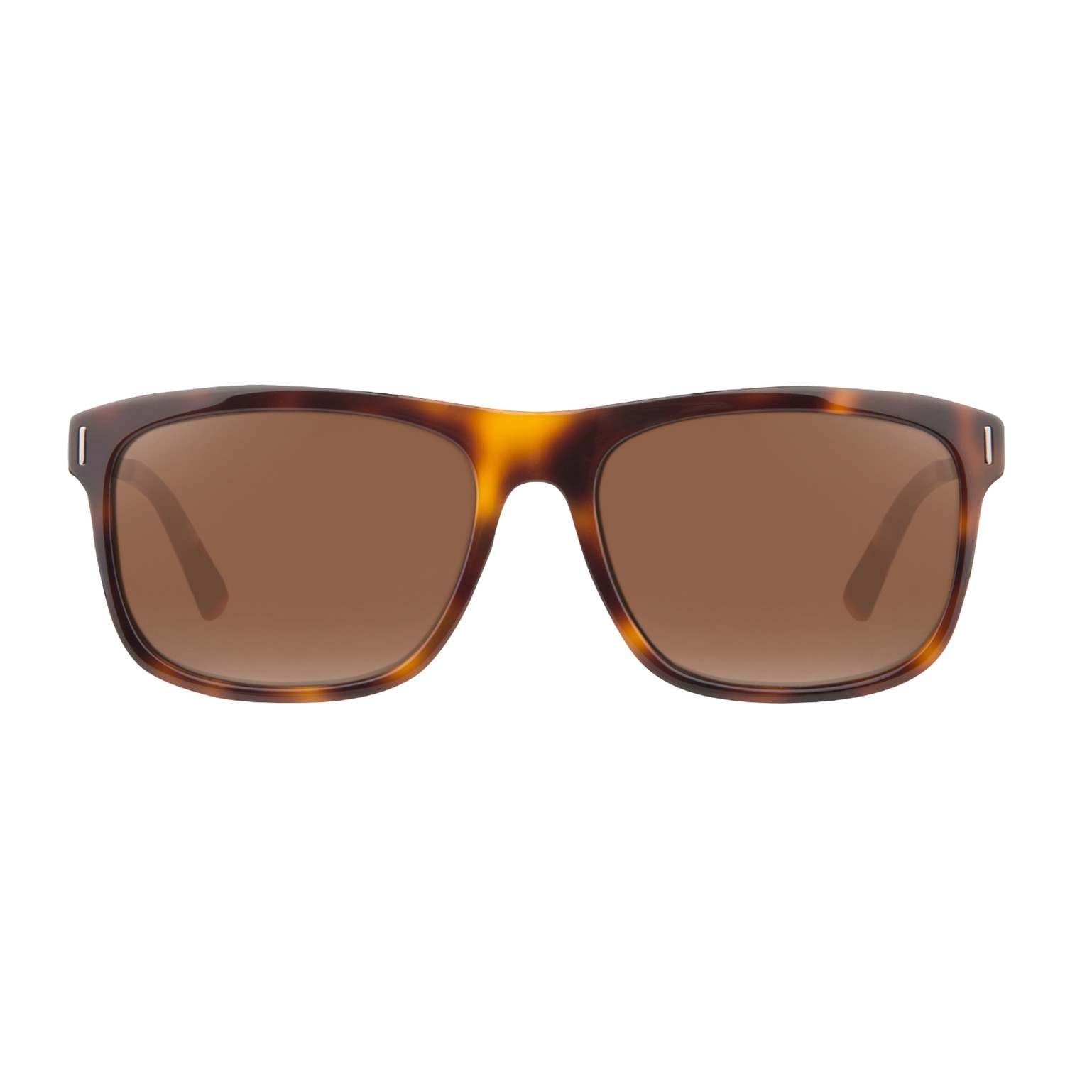 Calvin Klein // Classic Sunglasses // Havana Tortoise + Brown ...