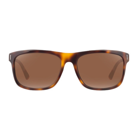 Calvin Klein // Classic Sunglasses // Havana Tortoise + Brown