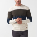 Auden Tricot Sweater // Beige (L)
