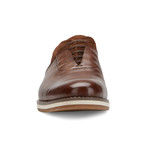 The Laurent Shoe // Brown (US: 7.5)