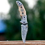 Folding Knife // VK2365
