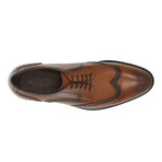 Kolby Shoes // Brown (Euro: 45)