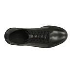 Aarav Shoes // Black (Euro: 40)