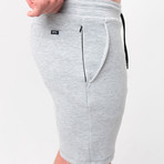 Momentum Tech Fleece Shorts // Grey (S)