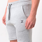 Momentum Tech Fleece Shorts // Grey (S)