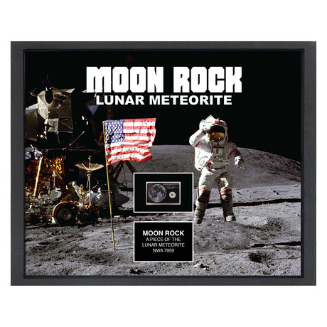Framed Meteorite Collage // Moon Rock