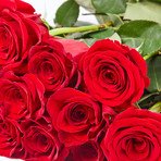 Kenyan Rose Bouquet // Red (One Dozen)