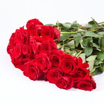 Kenyan Rose Bouquet // Red (One Dozen)