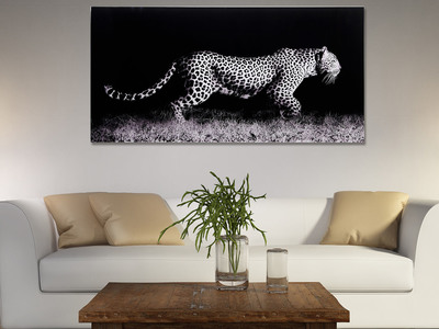 Anything for Pets Parents & Their Pets INOpets.com Anything for Pets Parents & Their Pets Empire Art Direct Striking Graphic Art TMP-EAD3674-2448 // Frameless Free Floating Tempered Art Glass // EAD Art Coop