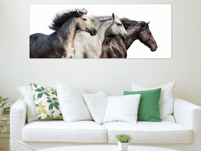 Anything for Pets Parents & Their Pets INOpets.com Anything for Pets Parents & Their Pets Empire Art Direct Striking Graphic Art TMP-EAD4139-2463 // Frameless Free Floating Tempered Art Glass // EAD Art Coop