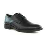 Marino Shoes // Black (US: 7)