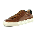 Alis Sneaker // Brown (US: 9)