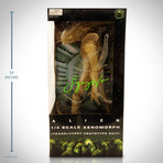 Alien // Sigourney Weaver Signed 1/4 Scale Limited Edition Statue Prop