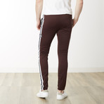 Varsity Stripe Skinny Fit Jogger // Boudreaux (L)