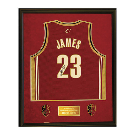 Cleveland Cavaliers // Signed Jersey // LeBron James (Unframed)