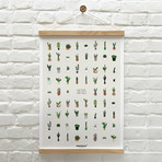 CACTUS // L'affiche qui a du piquant!