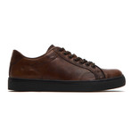 Walker Low Lace // Cognac (US: 7)