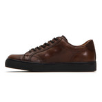 Walker Low Lace // Cognac (US: 7)