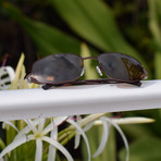 TURBOFLEX Sunglasses // Ovoid II