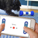 GoBone // Interactive Dog Toy