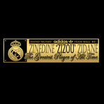 Zinedine Zidane // Signed Soccer Ball // Custom Museum Display (Signed Soccer Ball Only)