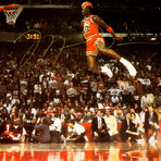 Michael Jordan // Signed Poster // Custom Frame