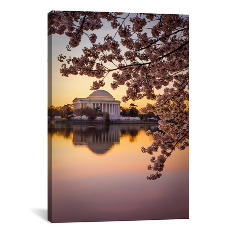 Jefferson Memorial At Dawn With Cherry Blossom, Washington, // Brian Jannsen (26"W x 18"H x 0.75"D)