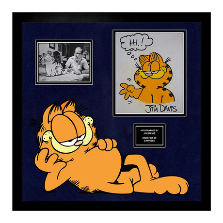 Signed + Framed Sketch Collage // Garfield