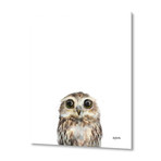 Little Owl by Amy Hamilton // Aluminum (16"W x 20"H x 1.5"D)