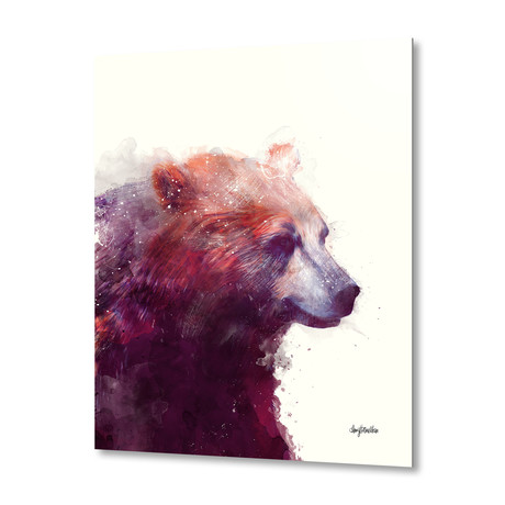 Bear Calm by Amy Hamilton // Aluminum (16"W x 20"H x 1.5"D)