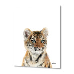 Little Tiger by Amy Hamilton // Aluminum (16"W x 20"H x 1.5"D)