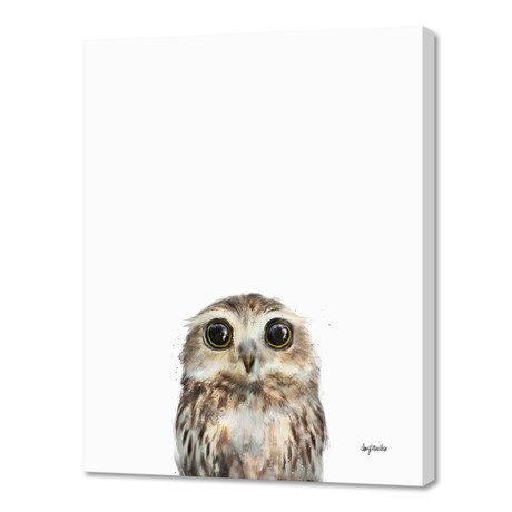 Little Owl by Amy Hamilton // Canvas (16"W x 20"H x 1.5"D)