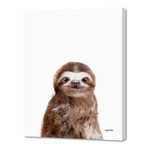 Little Sloth by Amy Hamilton // Canvas (16"W x 20"H x 1.5"D)