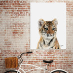 Little Tiger by Amy Hamilton // Canvas (16"W x 20"H x 1.5"D)