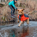 Aegis All-Weather Dog Jacket // Gray (XX Small)