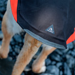 Aegis All-Weather Dog Jacket // Gray (XX Small)