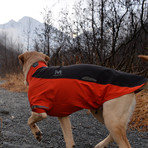Aegis All-Weather Dog Jacket // Orange (XX Small)